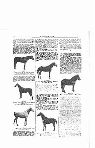 LIVRE D OR DE L ORANIE_000011